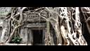angkor