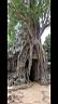 angkor