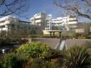 Getty Center 8