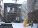 MOMA 8