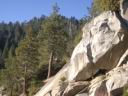 Sequoia NP 2